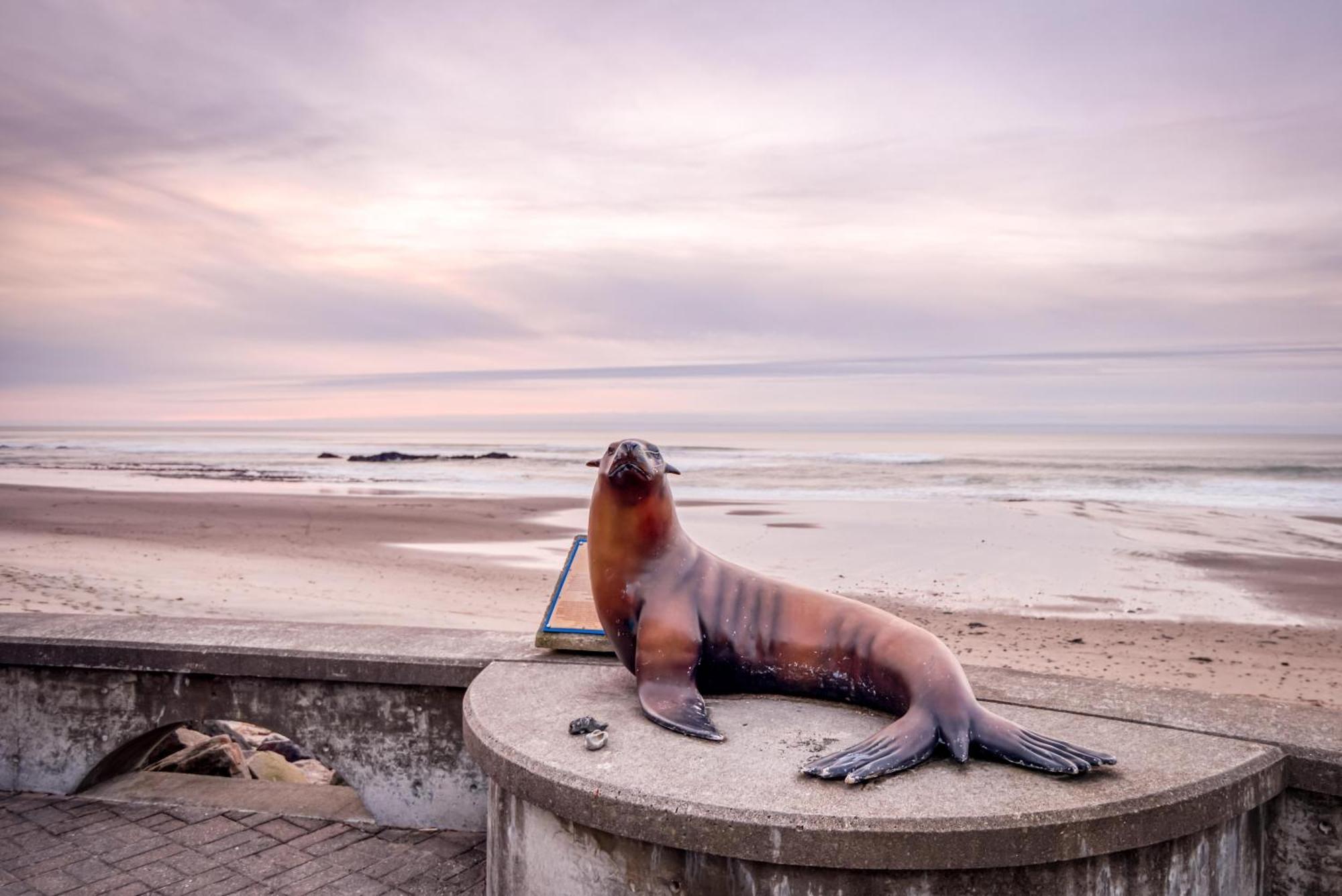 The Lighthouse In Lincoln City Esterno foto